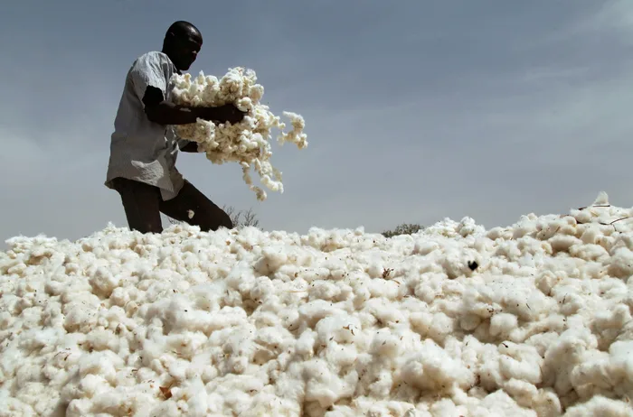 Cotton