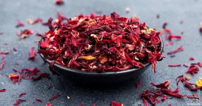 Hibiscus