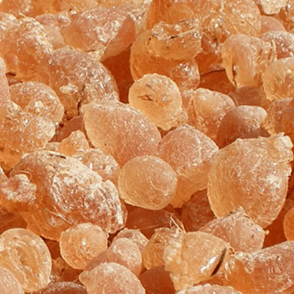 Sugar